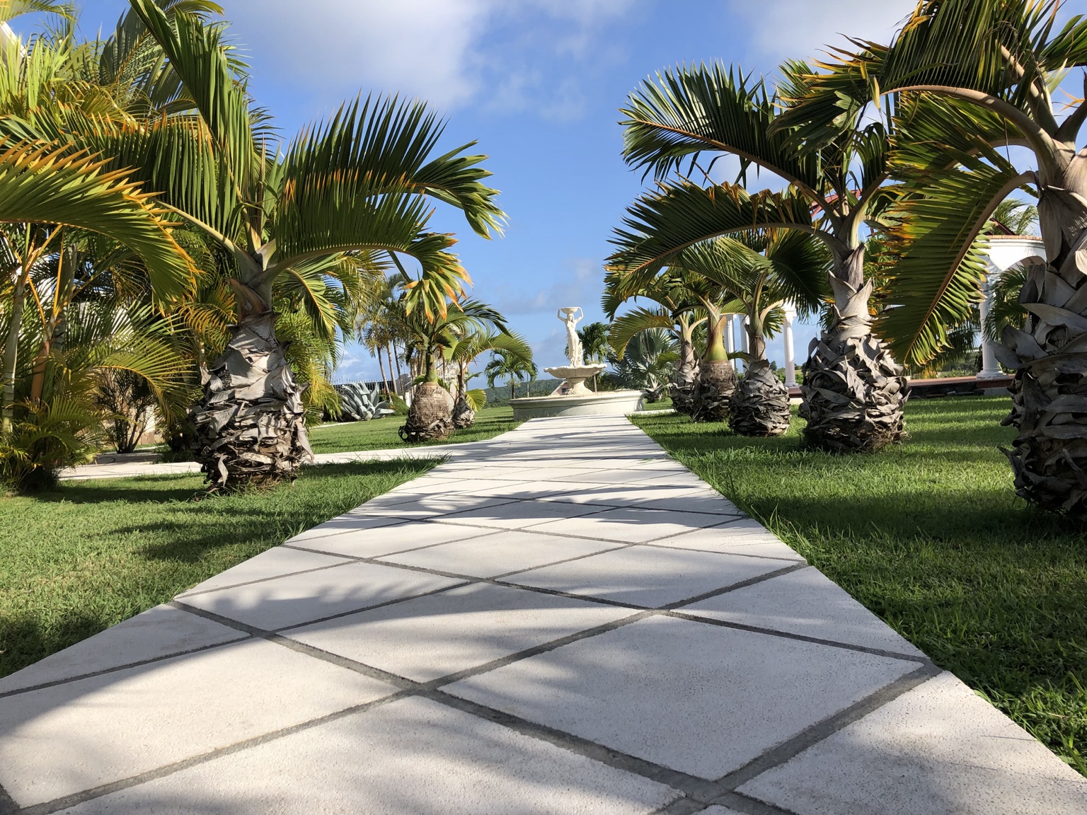 L’entrée des Villas Palatium, son allée bordée de palmiers et sa fontaine